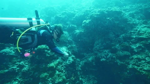 Skilled diver holds action camera recording ocean floor Stock Footage 282496531