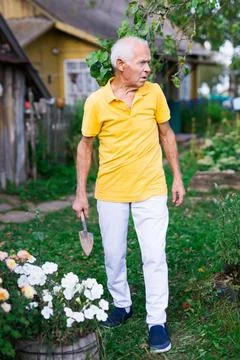 Skilled elderly worker caring for flowers in summer garden Foto stock