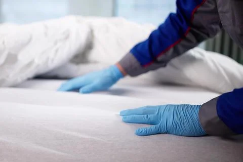 Skilled Exterminator Eliminating Bed Bugs With Precision And Expertise Stock Photos