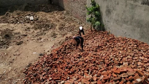 Skilled Indian Construction Worker: Expertly Throwing Bricks 動画素材 244838358