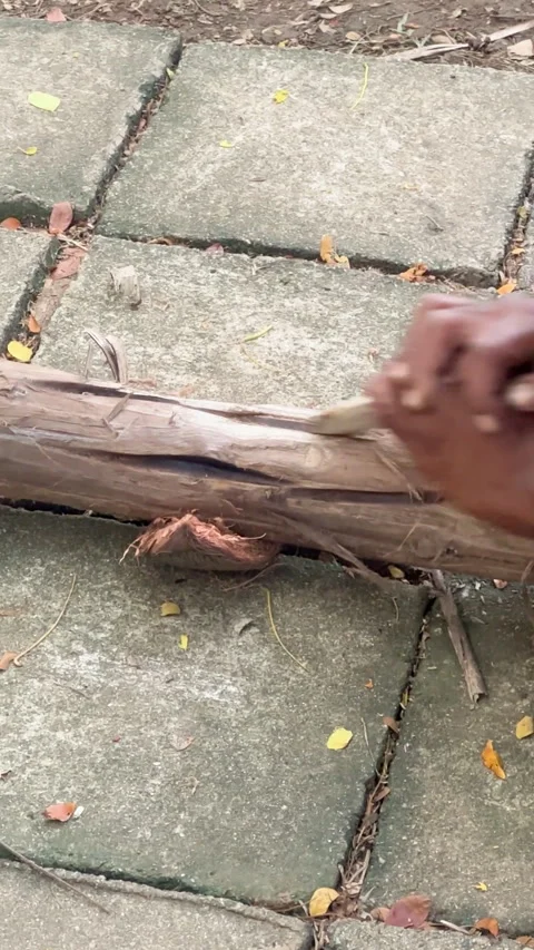 A skilled individual carving wood with a sharp tool in Fiji Video stock 313278535