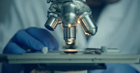 Skilled Scientist Carefully Examining Sample Under Microscope Stock-Footage 300362335