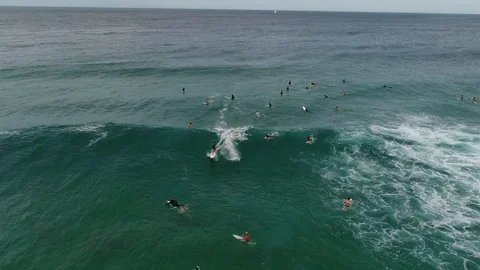Skilled surfer Stock Footage 95703666