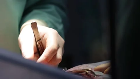 Skilled surgeon and assistant suturing during surgery Stock Footage 247147920