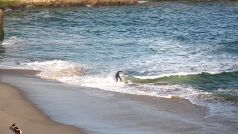 Skimboarding on a beach Vídeos de archivo 311609236