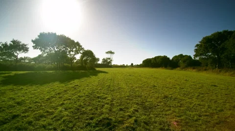 Skimming flight view on an empty field bordered by trees. The sun is shining. Stock Footage 68597222