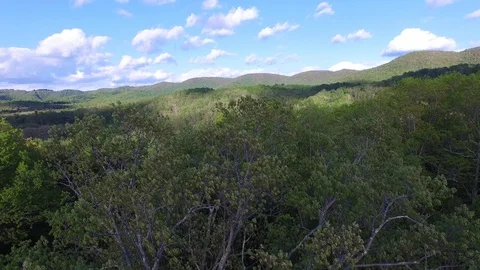 Skimming Mountain Tree Tops Stock Footage 128542727