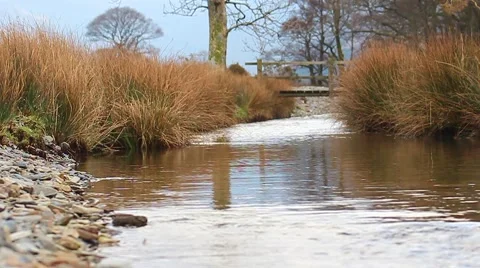 Skimming Stone Upstream Bridge Slow Motion (720 50fps) English Countryside 動画素材 40840031