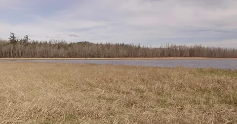 Skimming the surface of the field Video stock 87277947