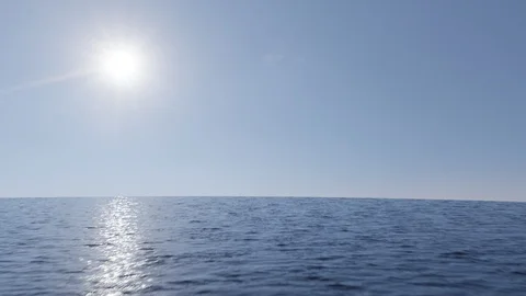 Skimming the water Stock Footage 113970385