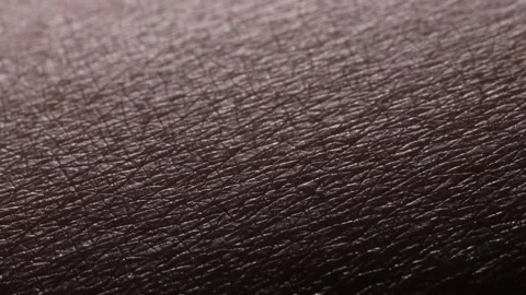 Skin 1 Stock Footage 326352405