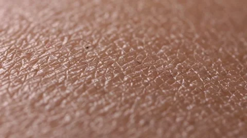 Skin 3 Stock Footage 326352178