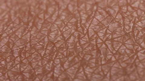 Skin 4 Video stock 326352207