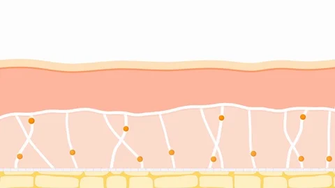 Skin aging Vidéo 116049735