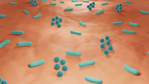 Skin bacteria, Microbiome Stock Footage 154805971