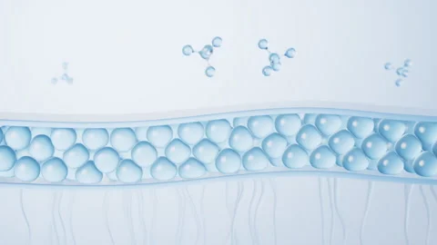 Skin cell background with cosmetics molecules, 3d rendering. Stock Footage 309954851