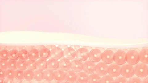 Skin cells absorb the serum, 3d rendering. Stock Footage 163337634