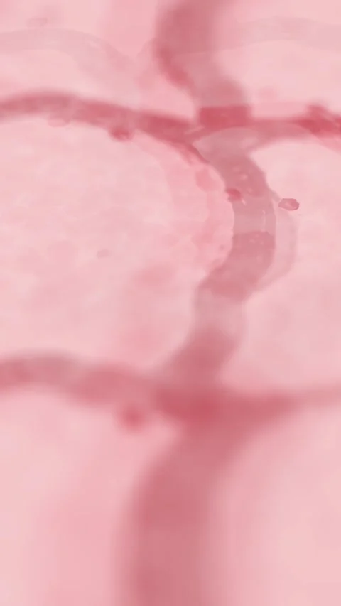 Skin Cells up Close on Human Dermis - Vertical Stock Footage 333156796