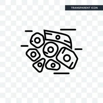 Skin Cells vector icon isolated on transparent background, Skin Cells logo de Stock Illustration