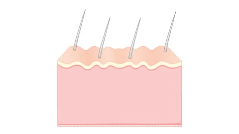 Skin changes over a lifetime Vidéo 130800238