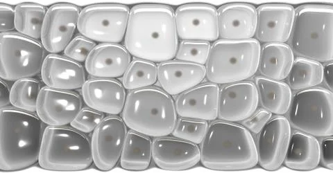Skin Dermis Cross Section Stock Illustration