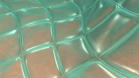 Skin Stock-Footage 374795