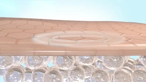 The skin layer is used as a background for 3D skin care and sun protection p 動画素材 308067356