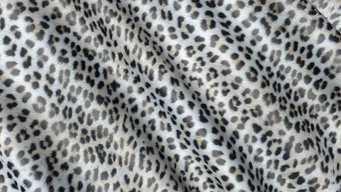 Skin of a leopard in motion. Stock Footage 103717188