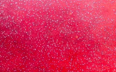 Skin nectarine Stock Photos