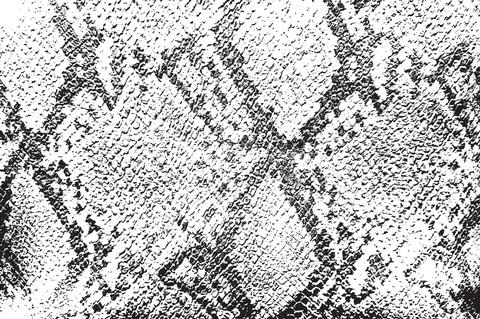 Skin Overlay Texture Stockillustratie