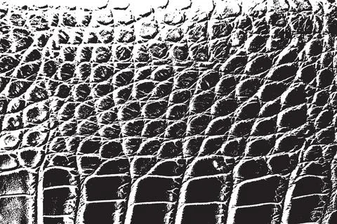 Skin Overlay Texture Stock Illustration