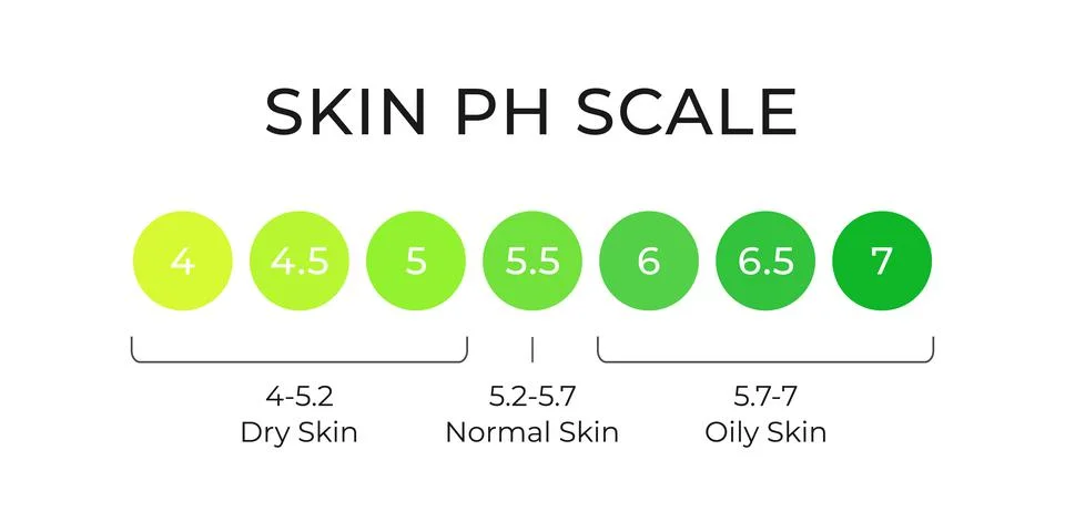 Skin pH value scale chart for normal, dry and oily. Indoication of lipid barrier Stock-Illustration