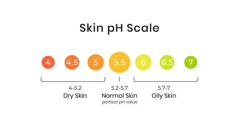 Skin pH value scale chart for normal, dry and oily. Indication of lipid barrier Stock Illustration