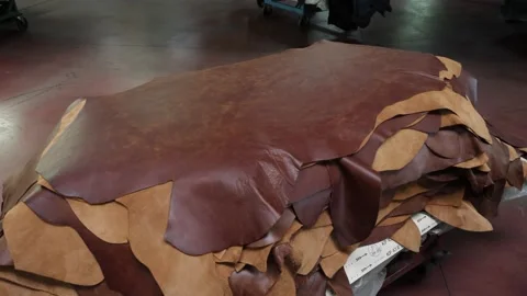 Skin samples Stock Footage 233166838