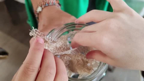 The skin of a snake after molting Stock Footage 337246147