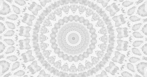 Skin snake background White snake skin texture Close-up  스톡 동영상 123969261