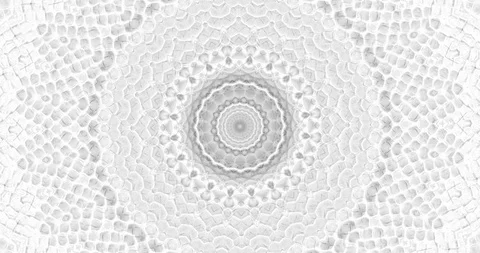 Skin snake background White snake skin texture Close-up  스톡 동영상 123969880