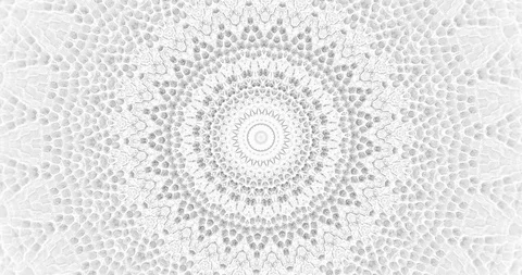 Skin snake background White snake skin texture Close-up  스톡 동영상 123970348