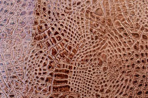 Skin of the snake Foto stock