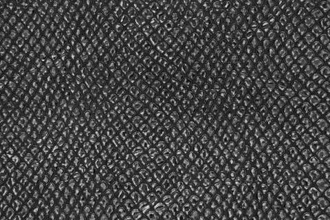 Skin texture closeup Stock Photos