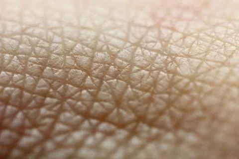 Skin texture macro Stock Photos
