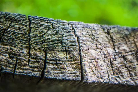 Skin texture 写真素材