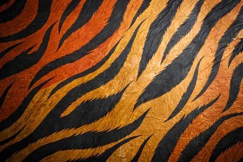 Skin Tiger Texture Pattern Background Stock Photos