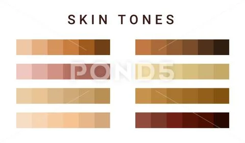 Skin tone color scale chart. Brown palette vector human skin ...