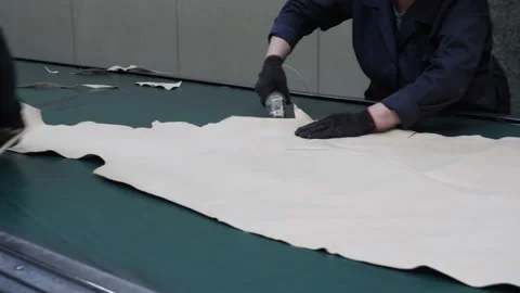 Skin trimming Stock Footage 233166884