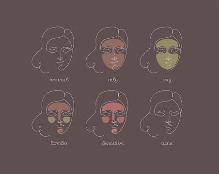 Skin type infographic. Vector one line modern illustration set. Female face a Stock Illustration