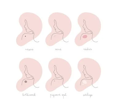 Skin type infographic. Vector one line modern illustration set. Female face.. Stock Illustration