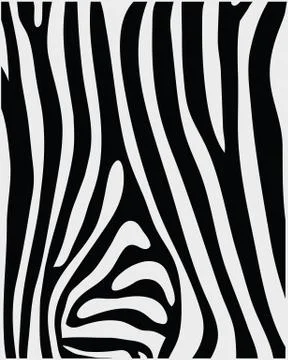 Skin of zebra Stock Illustration