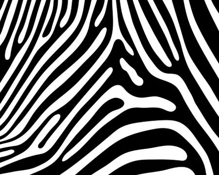 Skin of zebra Stock Illustration