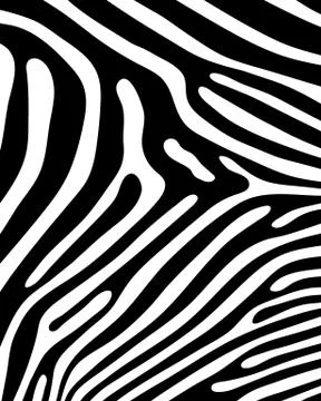 Skin of zebra Stock Illustration